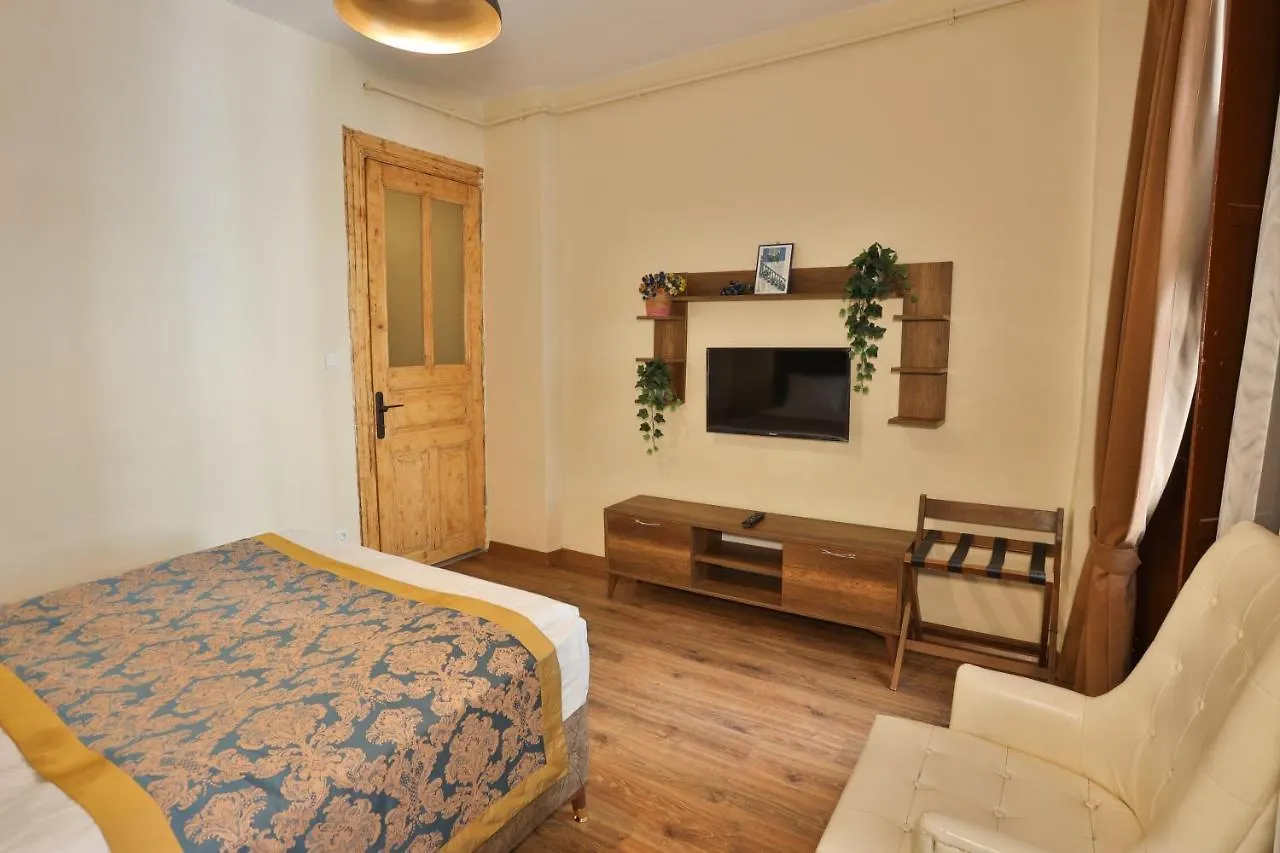 Ali Findik Apartment Istanbul 0*,